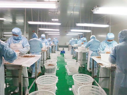 毫無(wú)人性 食品加工廠員工染上冠狀病毒,仍被強(qiáng)制要求上班